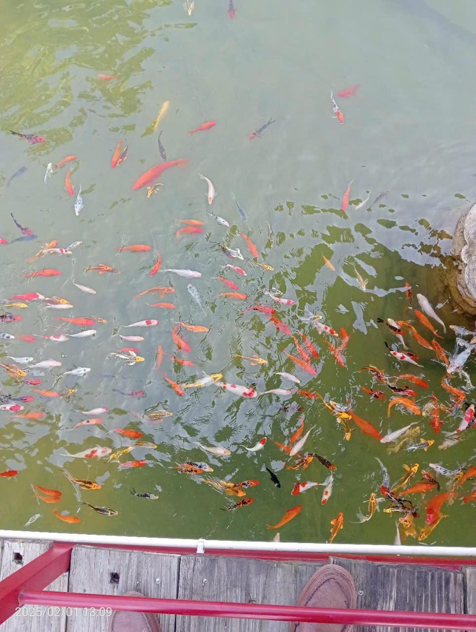 Homestay Suoi Khoang Minh Hang Yen Bai Dış mekan fotoğraf